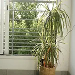 Apartment Le Standing, Hyper Centre T2 *