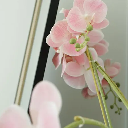 Le Standing, Hyper Centre T2 Appartement