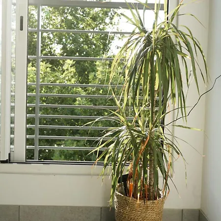 Appartement Le Standing, Hyper Centre T2 *