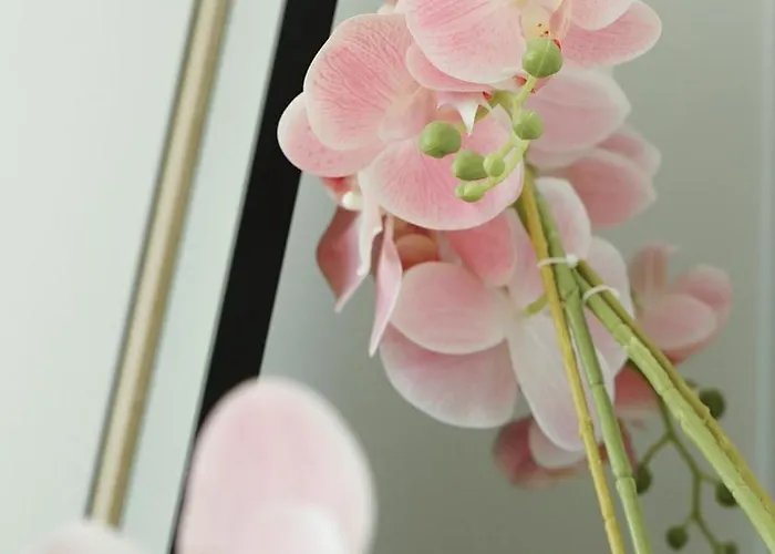 Le Standing, Hyper Centre T2 Apartment