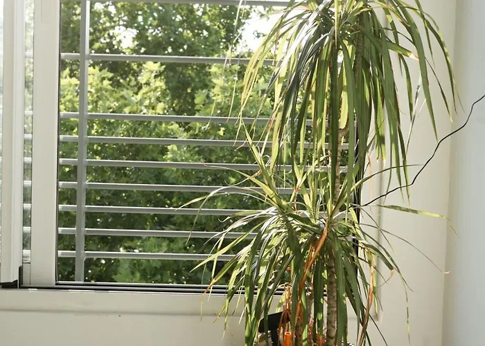 דירה Le Standing, Hyper Centre T2 *